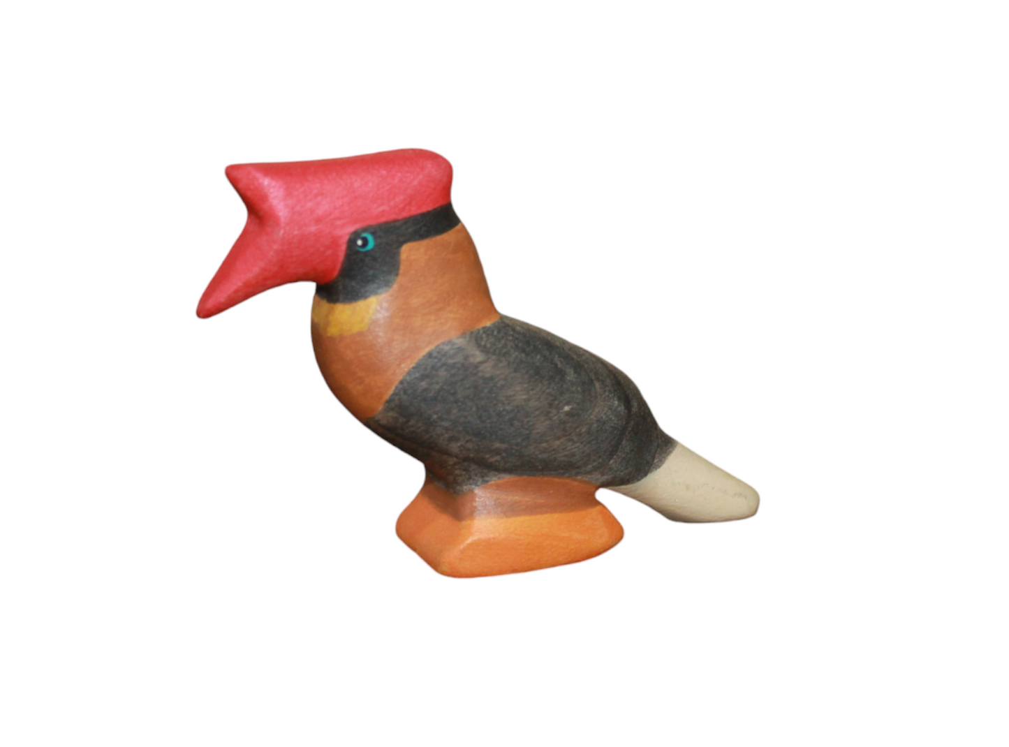 Northern Rufous Hornbill