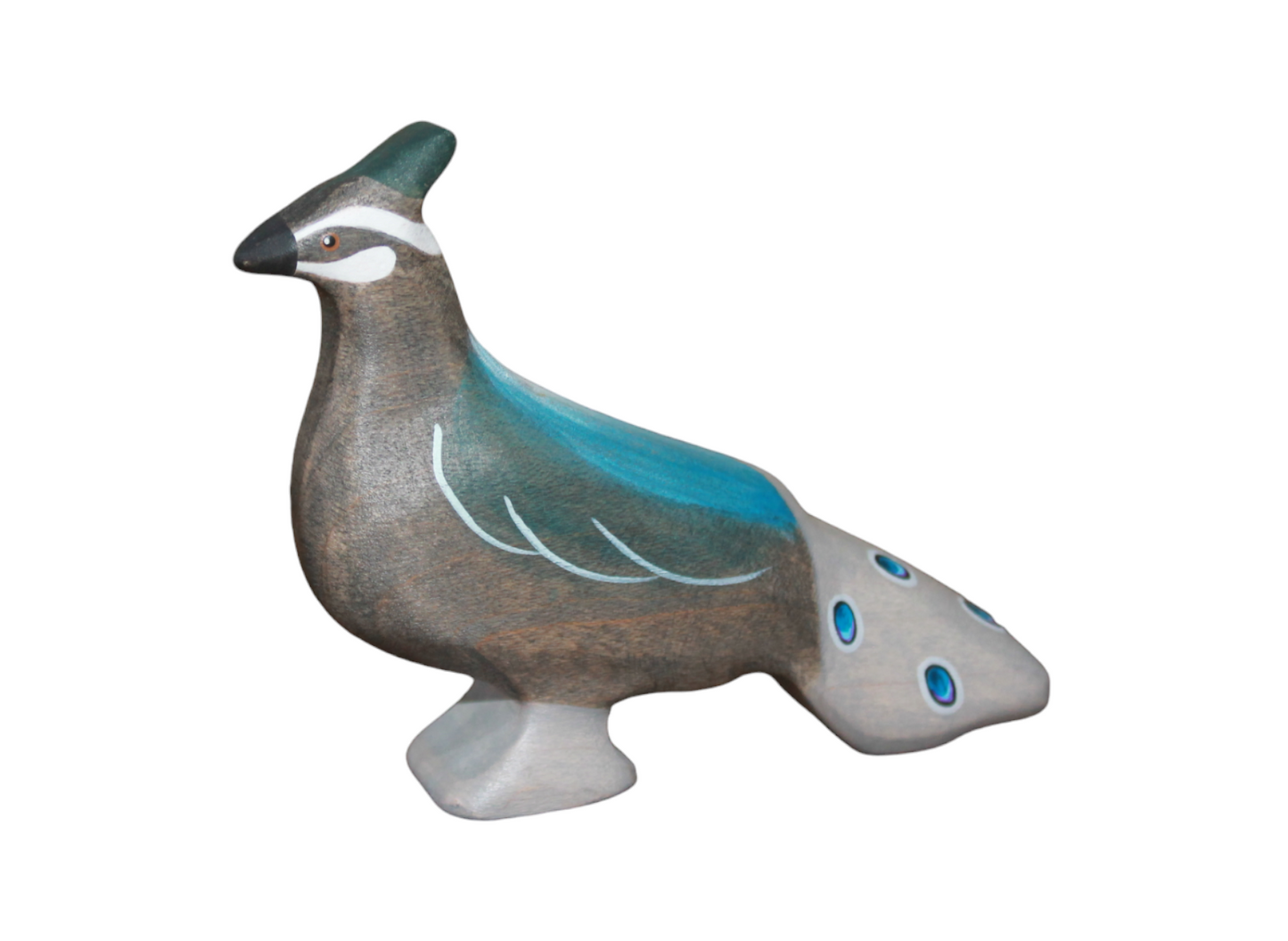 Palawan Peacock-Pheasant