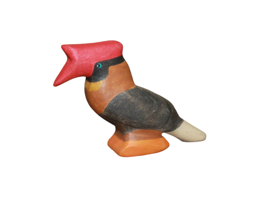 Northern Rufous Hornbill